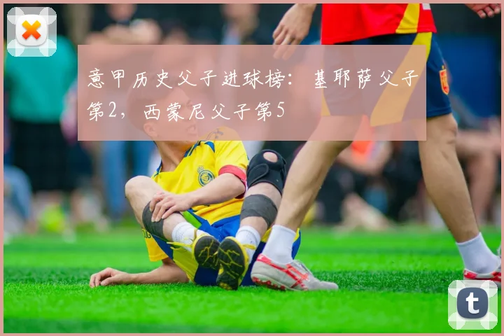 意甲历史父子进球榜：基耶萨父子第2，西蒙尼父子第5